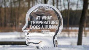 কত ডিগ্রি জ্বর হলে মানুষ মারা যায়
