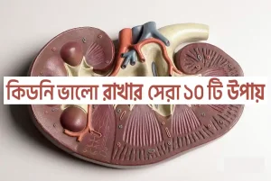 কিডনি ভালো রাখার উপায়