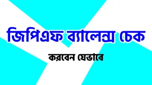 জিপিএফ ব্যালেন্স চেক