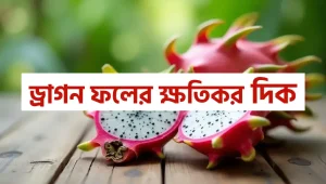 ড্রাগন ফলের ক্ষতিকর দিক