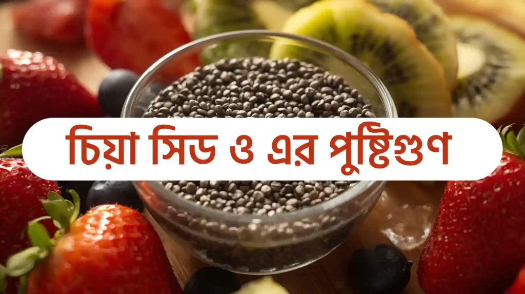 চিয়া সিড এর উপকারিতা ও অপকারিতা