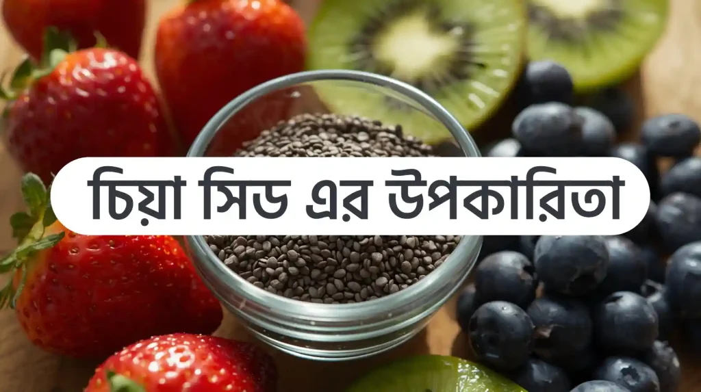 চিয়া সিড এর উপকারিতা ও অপকারিতা