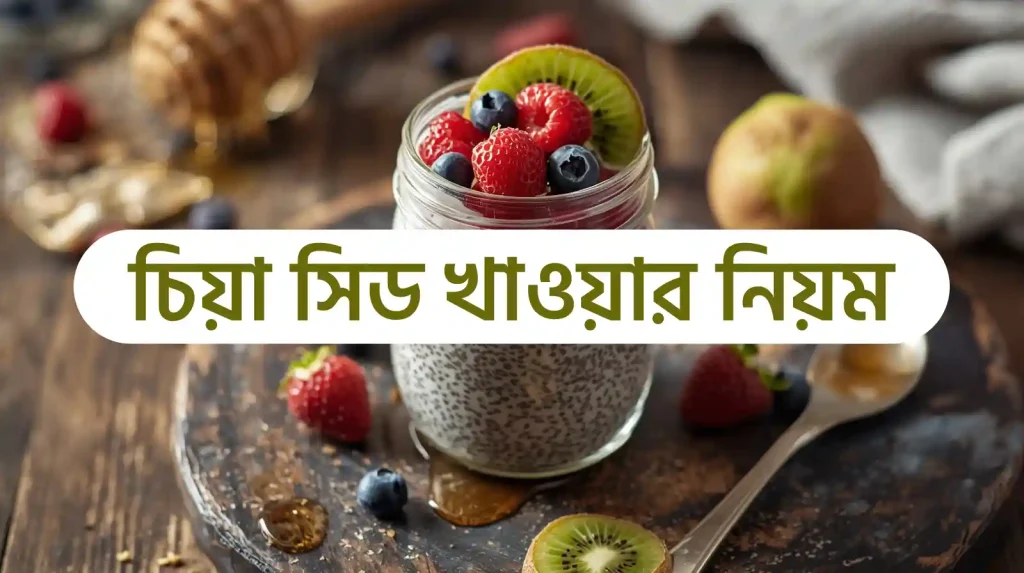 চিয়া সিড খাওয়ার নিয়ম | চিয়া সিড এর উপকারিতা ও অপকারিতা