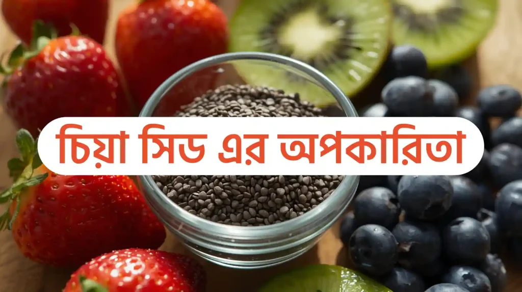 চিয়া সিড এর উপকারিতা ও অপকারিতা