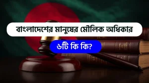 বাংলাদেশের মানুষের মৌলিক অধিকার ৬টি কি কি?