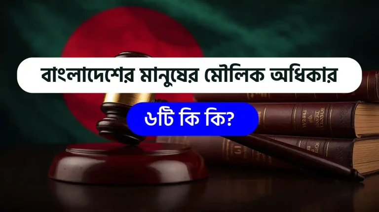 বাংলাদেশের মানুষের মৌলিক অধিকার ৬টি কি কি?
