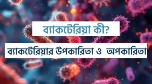 ব্যাকটেরিয়ার উপকারিতা ও অপকারিতা