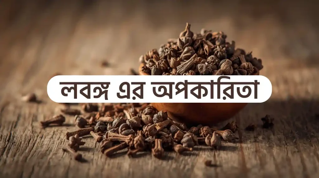 লবঙ্গ এর উপকারিতা ও অপকারিতা
