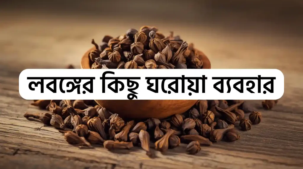 লবঙ্গ এর উপকারিতা ও অপকারিতা